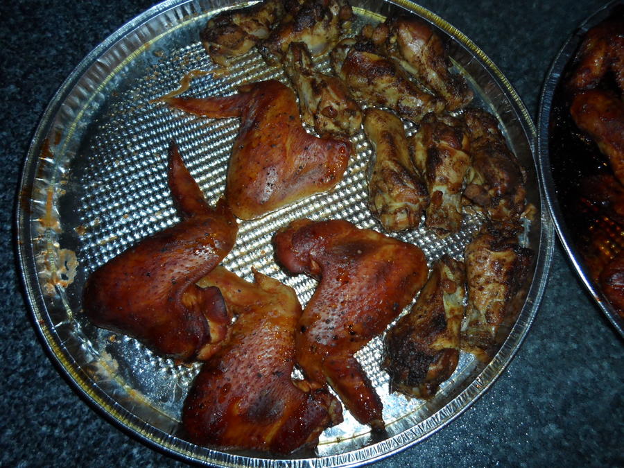 wings1.JPG