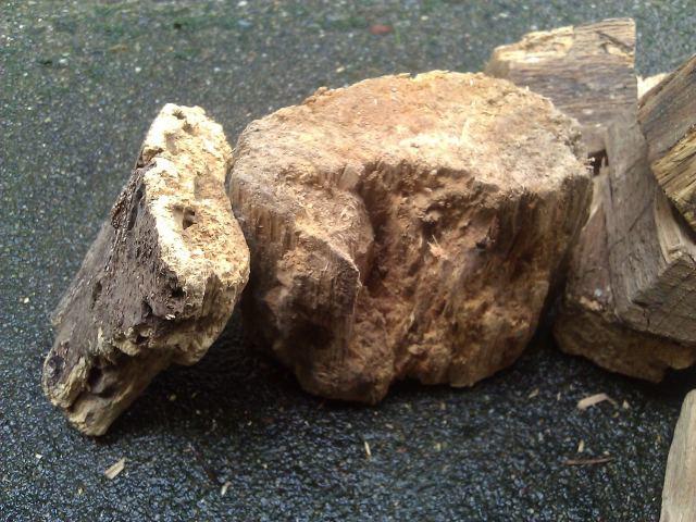WP_000206.jpg