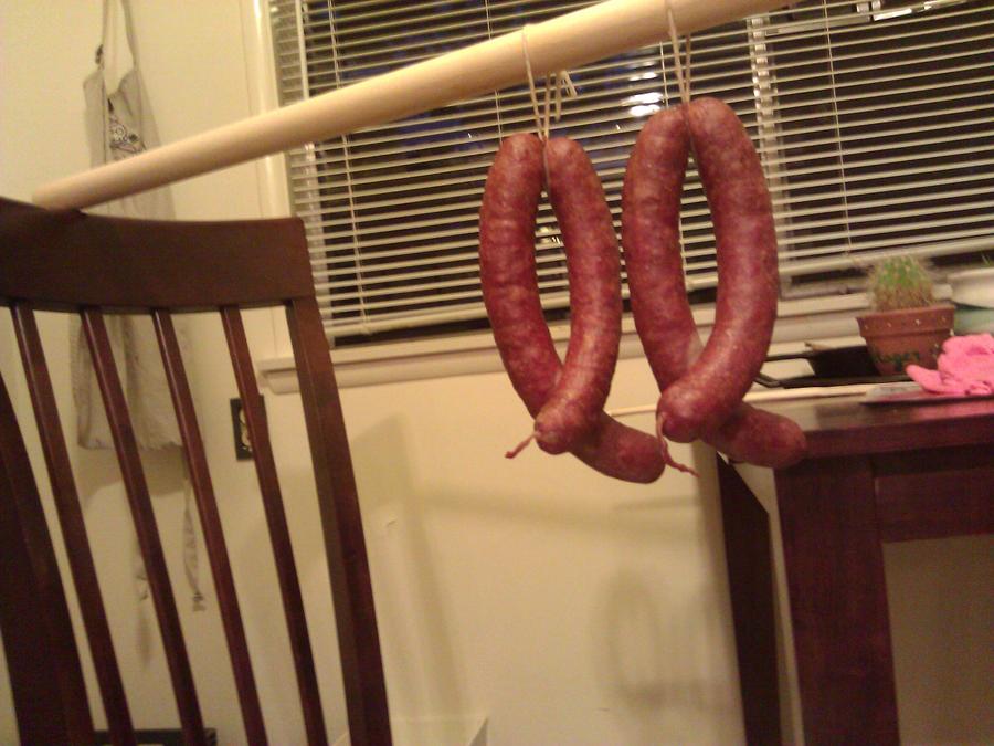WP_000941.jpg
