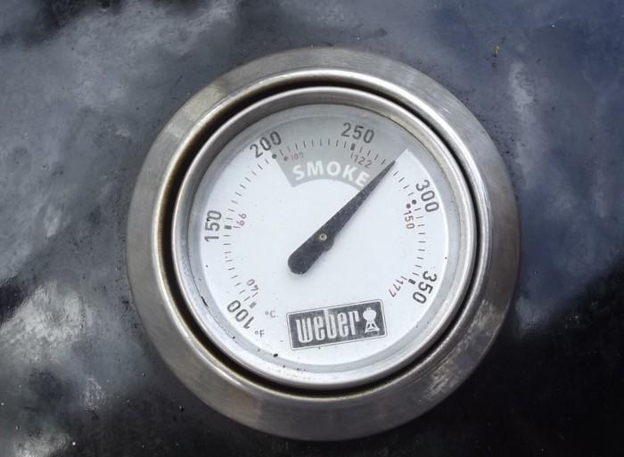 wsmtemp.JPG