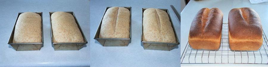 WW Sourdough Bread4.jpg