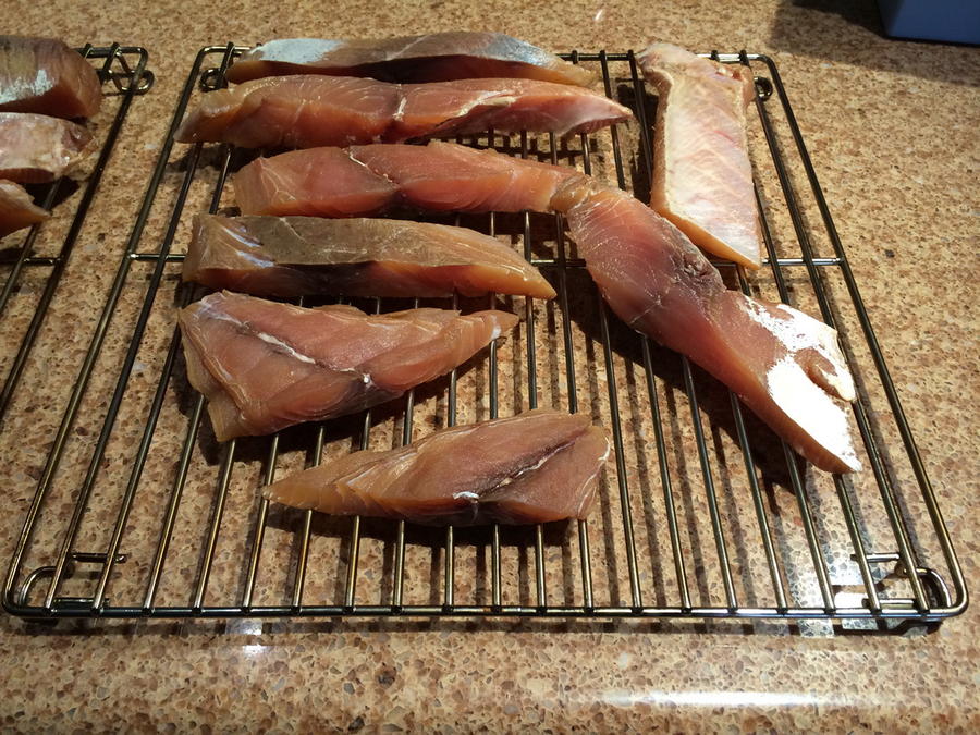 Yellowtail_0009.JPG