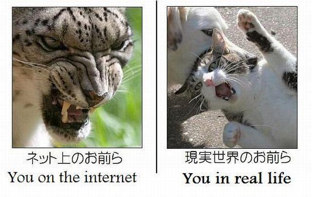 you in real ife.jpg