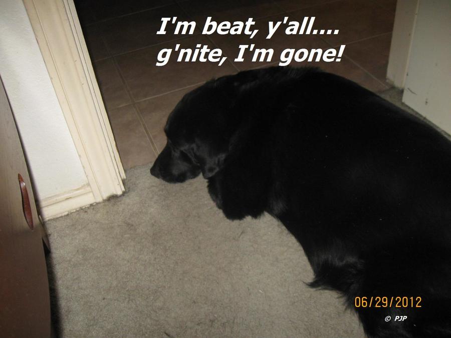 zgone.jpg